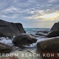 Отель Taatoh Resort & Freedom Beach Resort с домашними животными