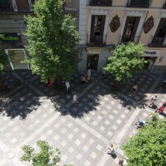Отель Petit Palace Arenal Sol Испания, Мадрид - 1 отзыв об отеле, цены и фото номеров - забронировать отель Petit Palace Arenal Sol онлайн