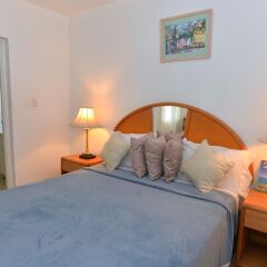 Отель Palm View Guesthouse And Conference Centre Монтего-Бей комната для гостей фото 2