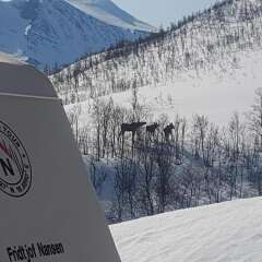 Отель Camp North Tour Норвегия, Тромсе - отзывы, цены и фото номеров - забронировать отель Camp North Tour онлайн фото 2