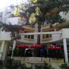 Отель Vida Family Hotel Болгария, Видин - отзывы, цены и фото номеров - забронировать отель Vida Family Hotel онлайн фото 2