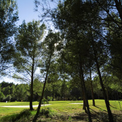 Sheraton Mallorca Arabella Golf Hotel фото 13