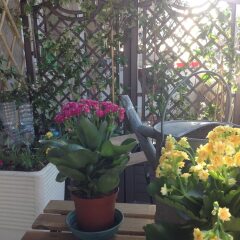 Отель Interno 8