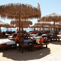 Elysees Dream Beach Hotel с домашними животными