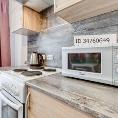 Гостиница Vitebskiy prospekt 101 Bldg 2 в Санкт-Петербурге отзывы, цены и фото номеров - забронировать гостиницу Vitebskiy prospekt 101 Bldg 2 онлайн Санкт-Петербург в номере фото 2