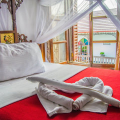 Tembo House Hotel & Apartments in Zanzibar, Tanzania from 104$, photos, reviews - zenhotels.com guestroom