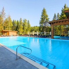 Гостиница LES Art Resort бассейн фото 2