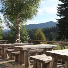 Отель Gela & Spa Болгария, Чепеларе - отзывы, цены и фото номеров - забронировать отель Gela & Spa онлайн питание фото 2