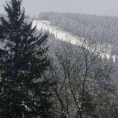 Отель Berghotel Hahnenklee фото 6