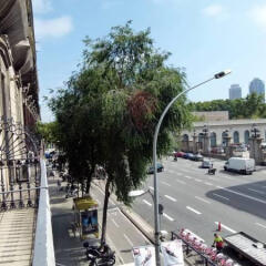 Отель Hostal Nuevo Colon Барселона