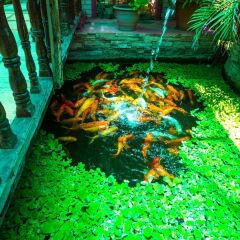 Отель Deep Forest Garden Hotel Филиппины, Пуэрто-Принцеса - 1 отзыв об отеле, цены и фото номеров - забронировать отель Deep Forest Garden Hotel онлайн приотельная территория фото 2