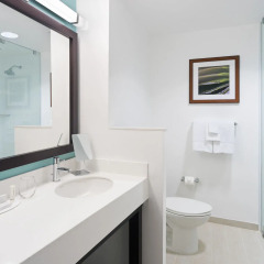 Отель Courtyard by Marriott Kingston, Jamaica Ямайка, Кингстон - отзывы, цены и фото номеров - забронировать отель Courtyard by Marriott Kingston, Jamaica онлайн ванная