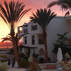 Отель Panareti Paphos Resort питание
