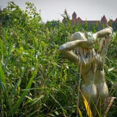 Отель Viva Trakai Литва, Тракай - отзывы, цены и фото номеров - забронировать отель Viva Trakai онлайн фото 4