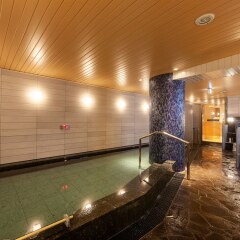Отель APA HOTEL PRIDE <KOKKAIGIJIDOMAE> National Diet Bldg. Япония, Токио - отзывы, цены и фото номеров - забронировать отель APA HOTEL PRIDE <KOKKAIGIJIDOMAE> National Diet Bldg. онлайн бассейн фото 2