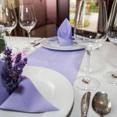Отель Korona Pension And Restaurant Хевиз помещение для мероприятий