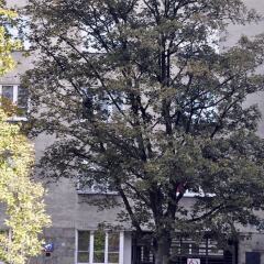 Отель Prudentia Apartments Chopin Польша, Варшава - отзывы, цены и фото номеров - забронировать отель Prudentia Apartments Chopin онлайн фото 2