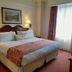 Отель Milburn Hotel США, Нью-Йорк - отзывы, цены и фото номеров - забронировать отель Milburn Hotel онлайн комната для гостей фото 2