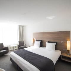 Отель Sanadome Hotel & Spa Nijmegen Нидерланды, Неймеген - отзывы, цены и фото номеров - забронировать отель Sanadome Hotel & Spa Nijmegen онлайн комната для гостей фото 3