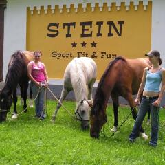 Отель Resort Stein Чехия, Хеб - отзывы, цены и фото номеров - забронировать отель Resort Stein онлайн с домашними животными