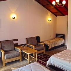 Agartsin Hotel комната для гостей фото 2