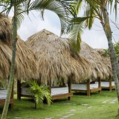 Отель Excellence Punta Cana Adults Only All Inclusive Доминикана, Пунта Кана - 8 отзывов об отеле, цены и фото номеров - забронировать отель Excellence Punta Cana Adults Only All Inclusive онлайн