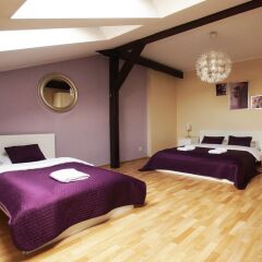 Отель Blooms Inn & Apartments Польша, Познань - отзывы, цены и фото номеров - забронировать отель Blooms Inn & Apartments онлайн сейф в номере