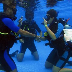 Отель The Reef Coco Beach Плая-дель-Кармен развлечения