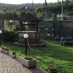 Гостиница Усадьба Рокса фото 16