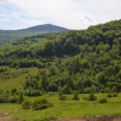 Гостиница Sadyba Pikuy Украина, Поляна - отзывы, цены и фото номеров - забронировать гостиницу Sadyba Pikuy онлайн фото 20