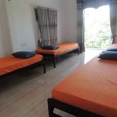 Little Leo Homestay and Hostel комната для гостей фото 4