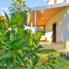 EV Villas Турция, Белек - отзывы, цены и фото номеров - забронировать отель EV Villas онлайн фото 8