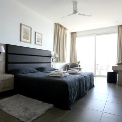 Dionysos Central Hotel комната для гостей