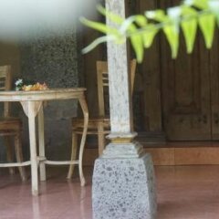 Naravana Guest House in Ubud, Indonesia from 35$, photos, reviews - zenhotels.com room amenities