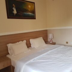 Alpina Lodge in Abuja, Nigeria from 65$, photos, reviews - zenhotels.com guestroom photo 5