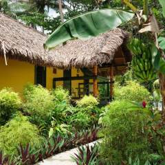 Отель Mango Bay Resort Фиджи, Вити-Леву - отзывы, цены и фото номеров - забронировать отель Mango Bay Resort онлайн фото 4