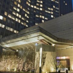 Отель Grand Millennium Beijing с домашними животными