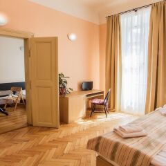 Отель U Zlate Podkovy - At The Golden Horseshoe Чехия, Прага - отзывы, цены и фото номеров - забронировать отель U Zlate Podkovy - At The Golden Horseshoe онлайн фото 13