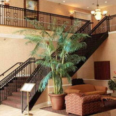 Отель Clarion Inn & Suites Clearwater фото 4