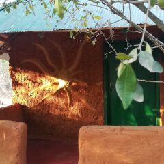 Отель Yala Wild House гостиничный бар