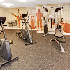 Отель Hawthorn Suites by Wyndham Chicago Schaumburg фитнесс-зал фото 2