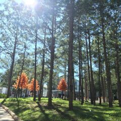 Terracotta Hotel & Resort Dalat детские мероприятия