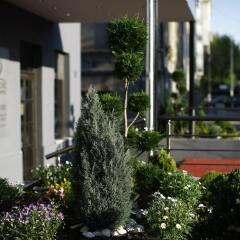 Отель Side One Design Hotel Сербия, Белград - отзывы, цены и фото номеров - забронировать отель Side One Design Hotel онлайн фото 3