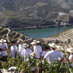 Отель Quinta Nova de Nossa Senhora do Carmo - Luxury Winery House фото 3