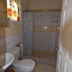 Soufriere Guesthouse in Massacre, Dominica from 107$, photos, reviews - zenhotels.com bathroom