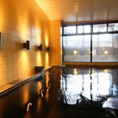 APA Hotel Chiba Yachiyo Midorigaoka с домашними животными