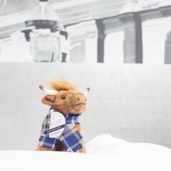 Отель Radisson Blu Edinburgh спортивное сооружение