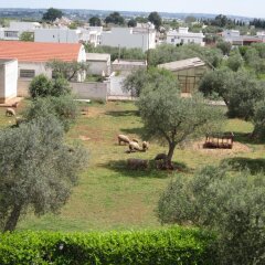 Отель B&B Welcome to Alberobello Альберобелло фото 2