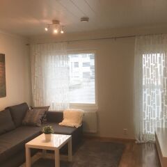 Апартаменты Kotimaailma Apartments Joensuu Йоенсуу комната для гостей фото 3