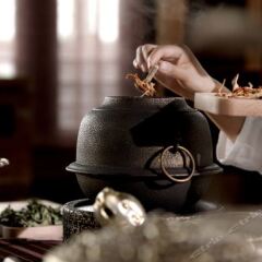 Xi’an Hua Qing Palace Hotel & Spa с домашними животными